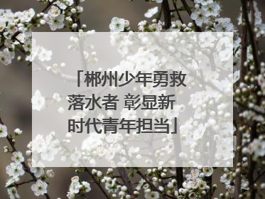郴州少年勇救落水者 彰显新时代青年担当