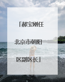 郝宝刚任北京市朝阳区副区长