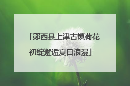 郧西县上津古镇荷花初绽邂逅夏日浪漫