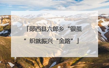 郧西县六郎乡“银茧”织就振兴“金路”