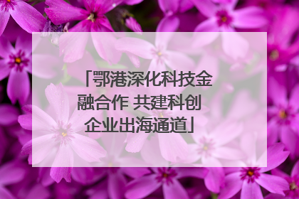 鄂港深化科技金融合作 共建科创企业出海通道