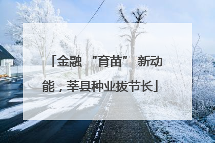 金融 “育苗” 新动能，莘县种业拔节长