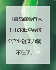 青岛峰会首秀！山东低空经济全产业链实力藏不住了