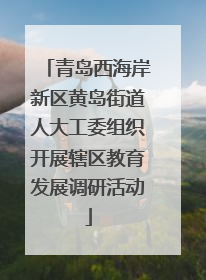 青岛西海岸新区黄岛街道人大工委组织开展辖区教育发展调研活动