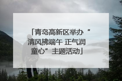 青岛高新区举办“清风拂端午 正气润童心”主题活动