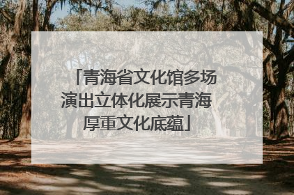 青海省文化馆多场演出立体化展示青海厚重文化底蕴