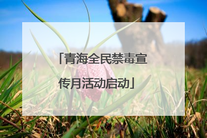 青海全民禁毒宣传月活动启动