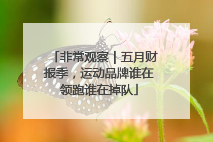 非常观察｜五月财报季，运动品牌谁在领跑谁在掉队