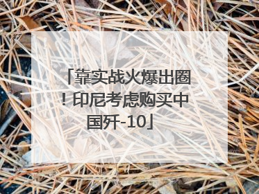 靠实战火爆出圈！印尼考虑购买中国歼-10