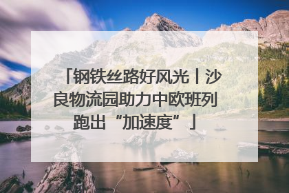 钢铁丝路好风光丨沙良物流园助力中欧班列跑出“加速度”