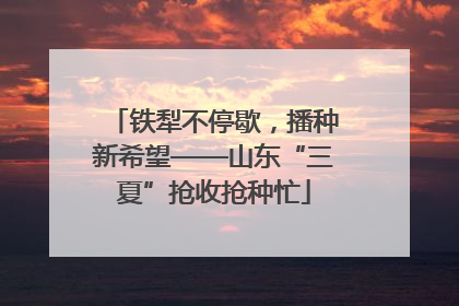 铁犁不停歇，播种新希望——山东“三夏”抢收抢种忙