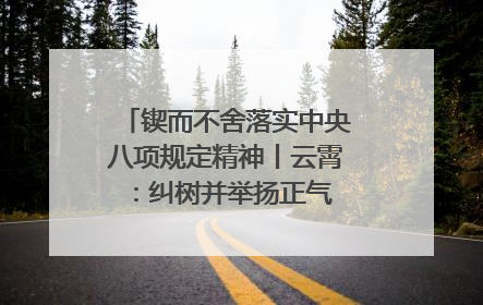 锲而不舍落实中央八项规定精神丨云霄：纠树并举扬正气 作风建设谱新章