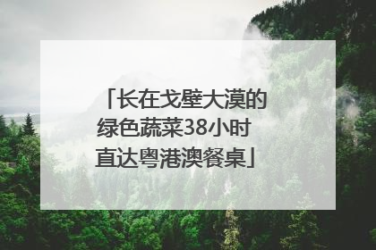 长在戈壁大漠的绿色蔬菜38小时直达粤港澳餐桌
