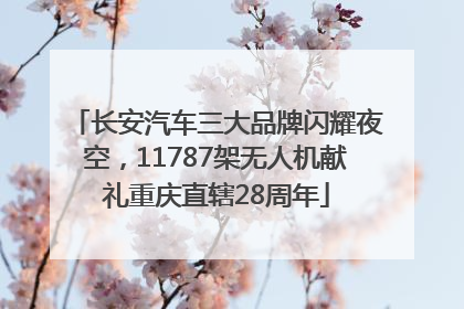 长安汽车三大品牌闪耀夜空，11787架无人机献礼重庆直辖28周年