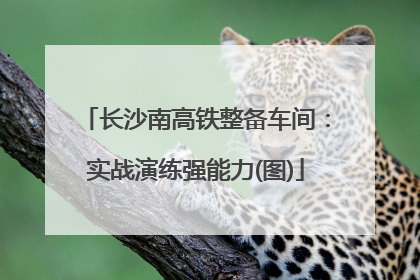 长沙南高铁整备车间：实战演练强能力(图)