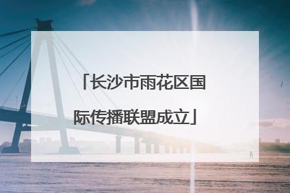 长沙市雨花区国际传播联盟成立