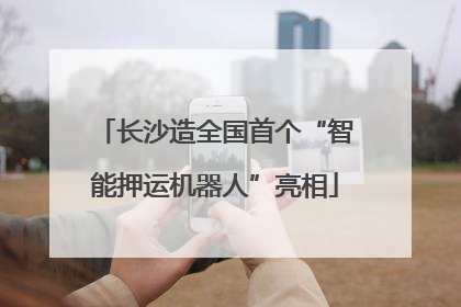 长沙造全国首个“智能押运机器人”亮相