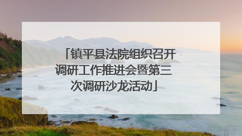 镇平县法院组织召开调研工作推进会暨第三次调研沙龙活动