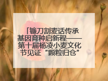 镰刀割麦话传承 基因育种启新程——第十届杨凌小麦文化节见证“颗粒归仓”时空跨越