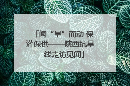 闻“旱”而动 保灌保供——陕西抗旱一线走访见闻