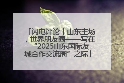 闪电评论丨山东主场，世界朋友圈——写在“2025山东国际友城合作交流周”之际