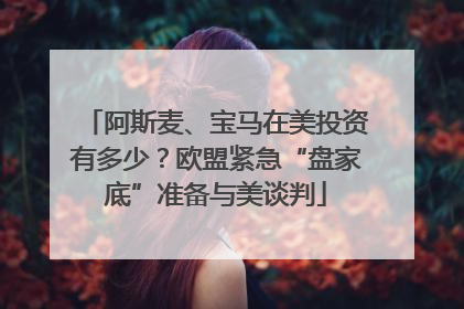 阿斯麦、宝马在美投资有多少？欧盟紧急“盘家底”准备与美谈判