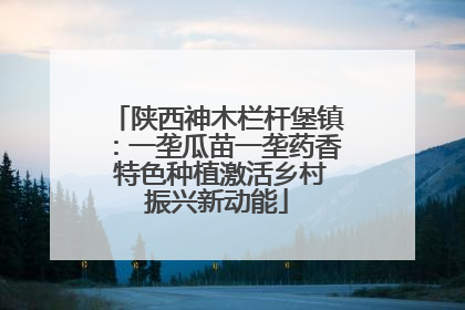 陕西神木栏杆堡镇：一垄瓜苗一垄药香 特色种植激活乡村振兴新动能