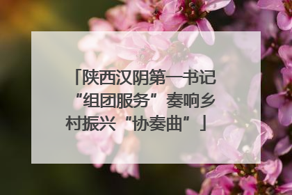 陕西汉阴第一书记“组团服务”奏响乡村振兴“协奏曲”