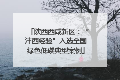 陕西西咸新区：“沣西经验”入选全国绿色低碳典型案例