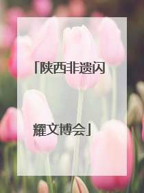 陕西非遗闪耀文博会