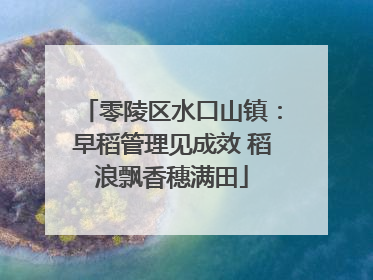 零陵区水口山镇：早稻管理见成效 稻浪飘香穗满田