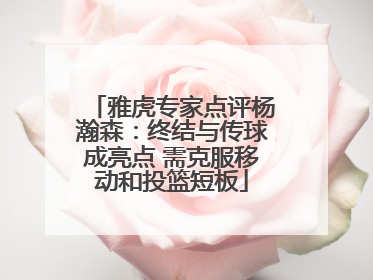 雅虎专家点评杨瀚森：终结与传球成亮点 需克服移动和投篮短板
