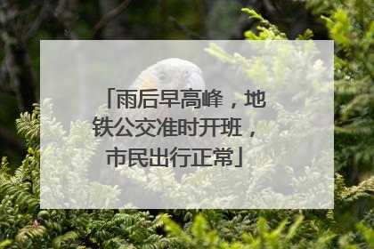 雨后早高峰，地铁公交准时开班，市民出行正常