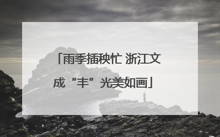 雨季插秧忙 浙江文成“丰”光美如画