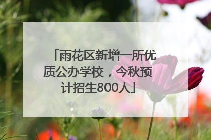雨花区新增一所优质公办学校，今秋预计招生800人