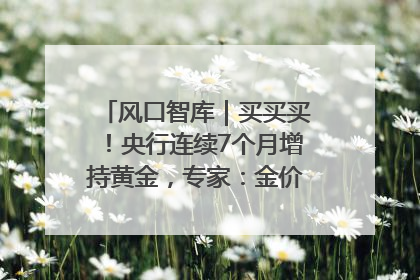 风口智库｜买买买！央行连续7个月增持黄金，专家：金价或仍易涨难跌
