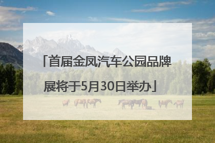 首届金凤汽车公园品牌展将于5月30日举办