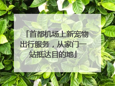 首都机场上新宠物出行服务，从家门一站抵达目的地