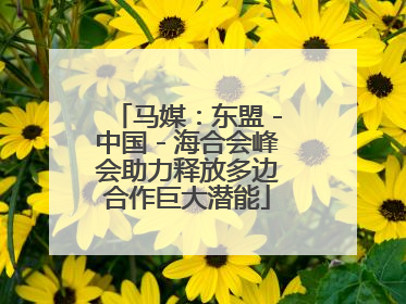 马媒：东盟－中国－海合会峰会助力释放多边合作巨大潜能