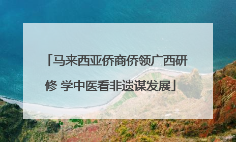 马来西亚侨商侨领广西研修 学中医看非遗谋发展