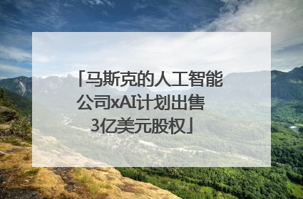 马斯克的人工智能公司xAI计划出售3亿美元股权