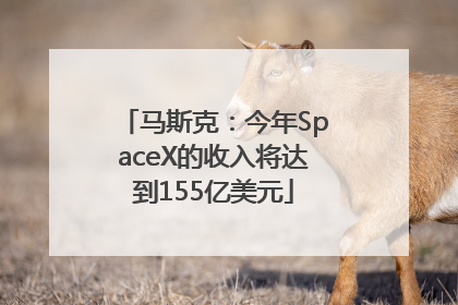 马斯克：今年SpaceX的收入将达到155亿美元