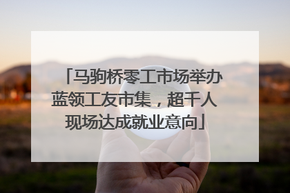 马驹桥零工市场举办蓝领工友市集，超千人现场达成就业意向
