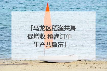 马龙区稻渔共舞促增收 稻渔订单生产共致富