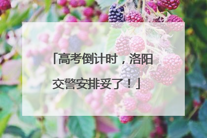 高考倒计时，洛阳交警安排妥了！