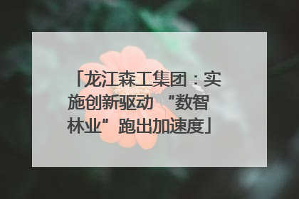 龙江森工集团：实施创新驱动 “数智林业”跑出加速度