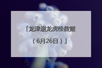 龙津退龙虎榜数据（6月26日）