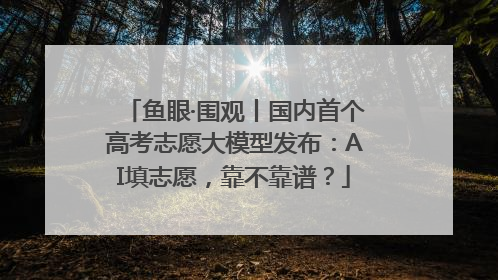 鱼眼·围观丨国内首个高考志愿大模型发布：AI填志愿，靠不靠谱？