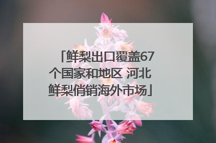 鲜梨出口覆盖67个国家和地区 河北鲜梨俏销海外市场