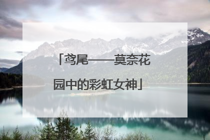 鸢尾——莫奈花园中的彩虹女神
